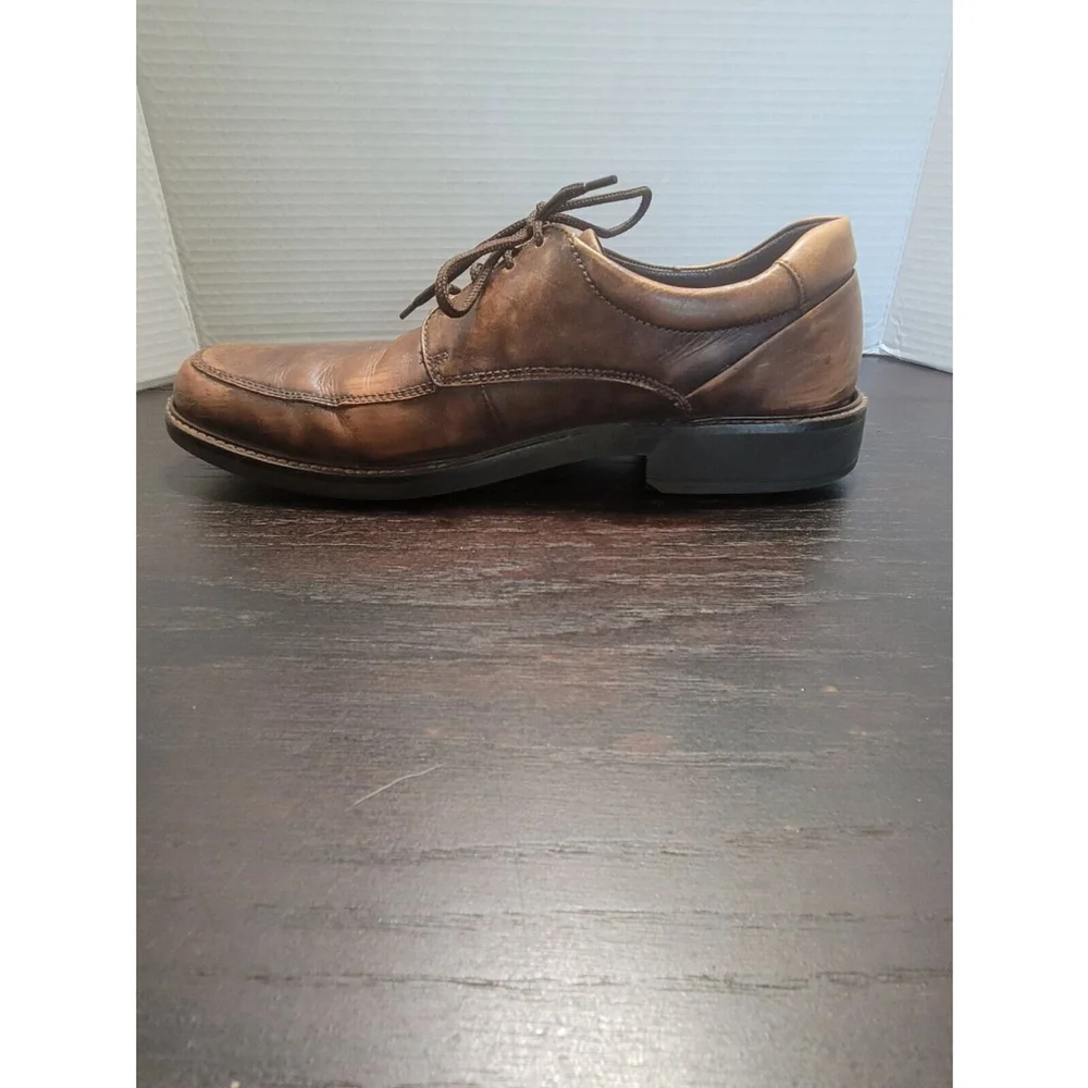 Ecco elevate your